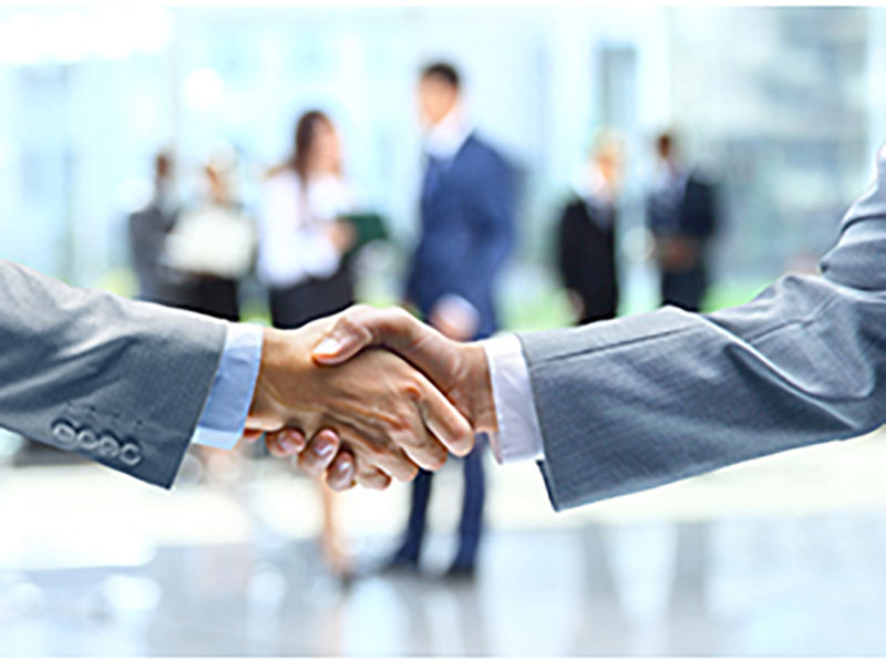 shaking-hands Ablauf, Kosten und Honorar